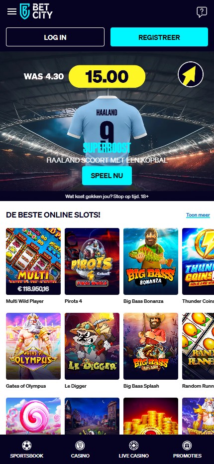 BetCity Casino